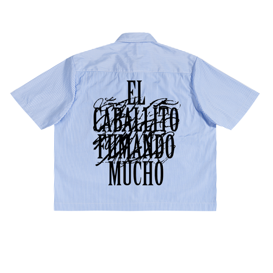 Blue and white striped short-sleeved shirt with black graphic text on the back.